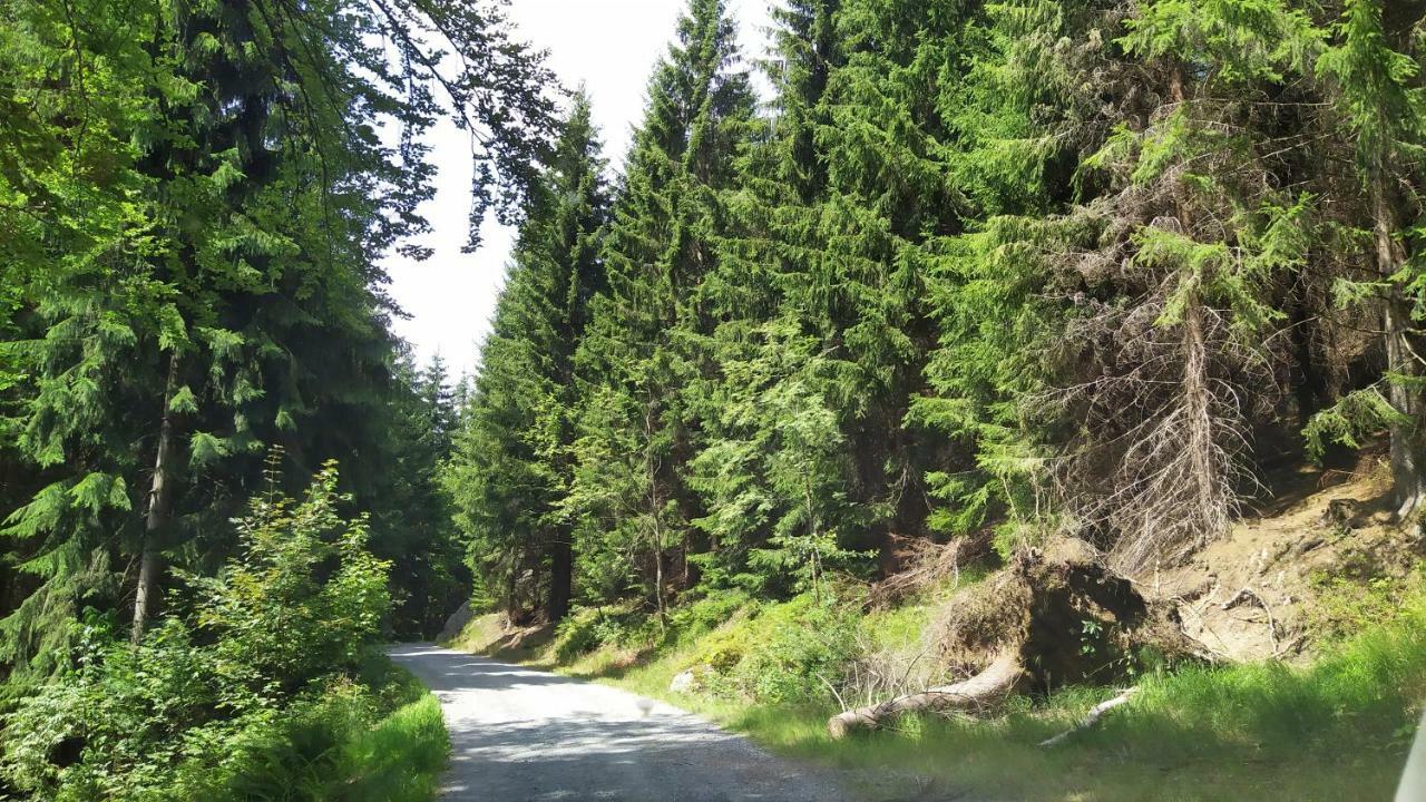 Greizer Kammhuette Gaststaette & Pension Klingenthal Eksteriør billede